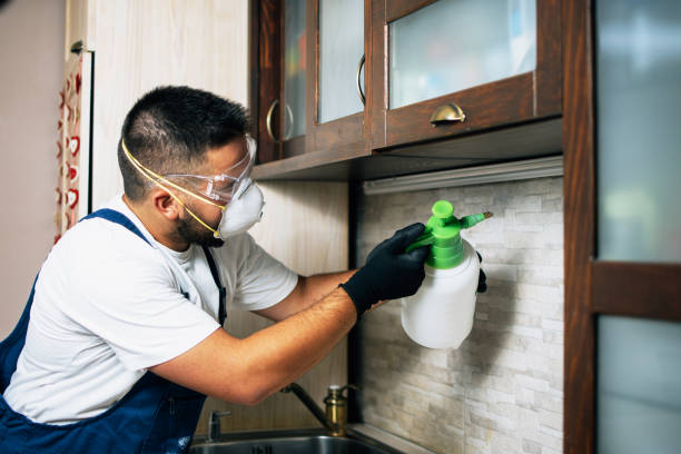 Trusted Milton, FL Pest Control Experts