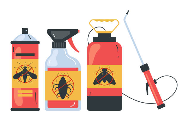 Best Wasp Removal Services  in Milton, FL