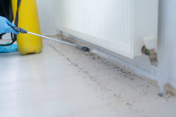 Best Bed Bug Extermination  in Milton, FL